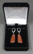 Red/Orange, Agatized Dinosaur Bone (Gembone) Earrings #84754-2